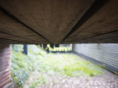 _DSC0509